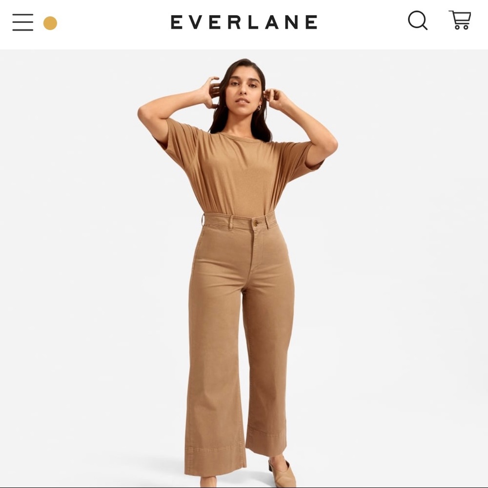 Everlane The Lightweight Wide-Leg Crop Chino (NWT)
